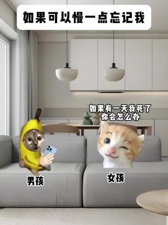 如果可以慢一点忘记我 #猫meme #意难平 #爱情