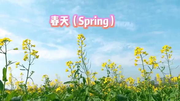 英文写作素材分享#英语学习分享