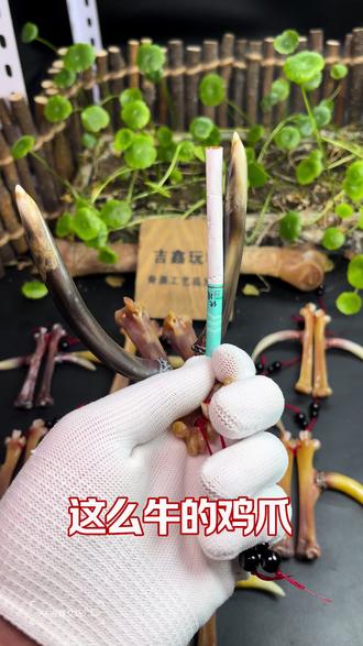 值不值盘玩鸡爪骨文玩#晒出你最爱的文玩 #民间手艺制作过程 #鸡爪骨文玩 #文玩鸡爪