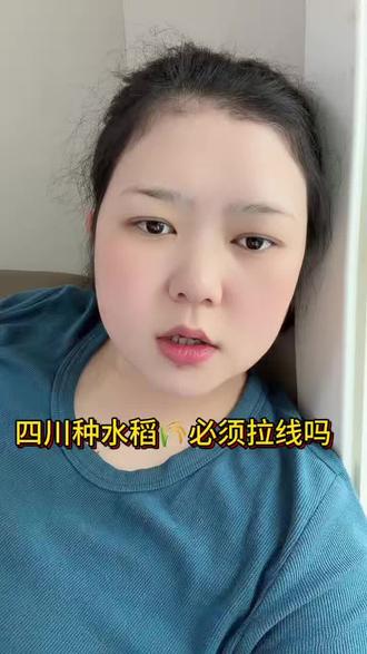 四川种水稻必须拉线吗?是好看还是会提高产量、我家也种,想学习学习#四川#插秧#插秧季节 #四川dou知道#三农