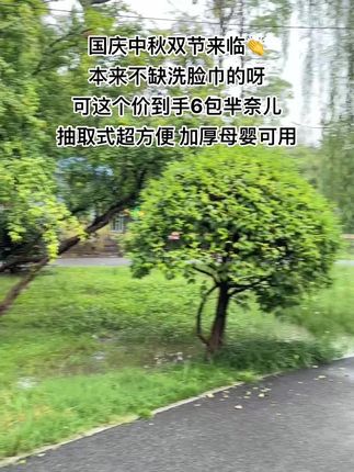 芈奈儿的洗脸巾趁划算真的薅啊,这个价到手6大包,加大加厚柔软亲肤,干湿两用,湿了水像条小毛巾似的!洗脸卸妆都很合适!#芈奈儿洗脸巾 #柔软亲肤 #一次性洗脸巾推荐 #干湿两用