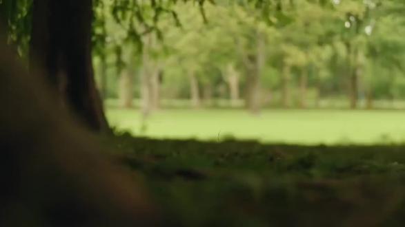 我们是最不想当父母的那一代,也是最会做父母的那一代。#公益广告