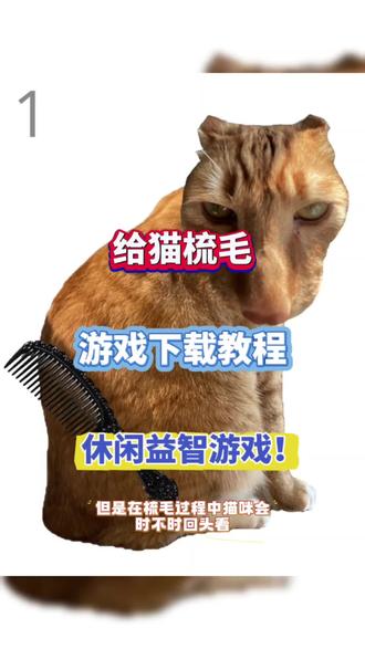 @光环助手APP #光环助手 给猫梳毛游戏下载教程 给猫梳毛有趣的游戏可以在哪里下载 #给猫梳毛 #休闲游戏 #益智游戏 #恶搞游戏