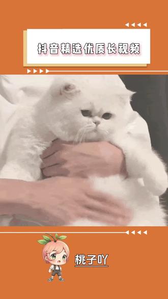 抖音精选优质长视频#抖音精选 #抖音细糠版 #一口气看完系列