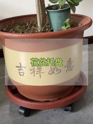 家里养花的一定要试试这个花盆托盘,再也不用费力搬动花盆了!#花盆托盘 #花盆托盘底座 #花盆托盘带轮 #移动托盘 #移动托盘花盆