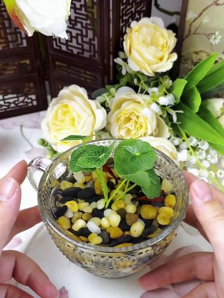 鱼缸造景 花盆铺面 水培植物都可以用这个溪流石! #造景#鱼缸里的大自然 #水培植物 #鱼缸造景#石头