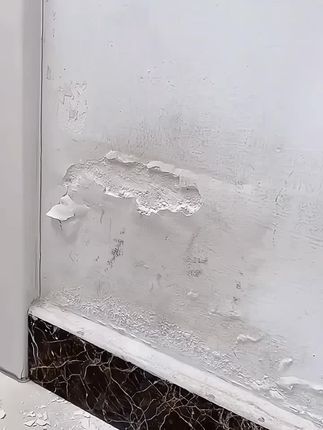 艺术笨鸟修复补墙膏室内涂鸦污渍环保白色墙皮脱落防水修补乳胶漆#强烈推荐 #墙面翻新 环保白色墙皮脱落防水修补补墙膏。
