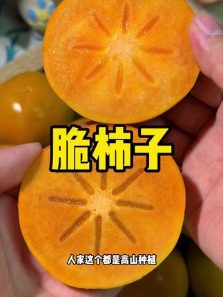 吃脆柿子是个幸福事儿#脆柿子 #新鲜采摘 #优质农产品 #应季水果 #超便宜超划算