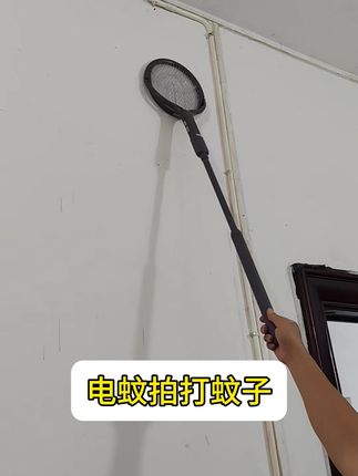 电蚊拍#电蚊拍 #电蚊拍灭蚊灯二合一 #蚊子克星