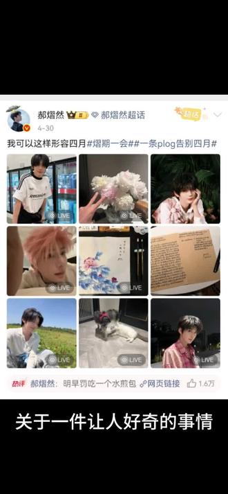 我是快乐的搬运工😏
已信谣、莫辜负(⁎⁍̴̛ᴗ⁍̴̛⁎)