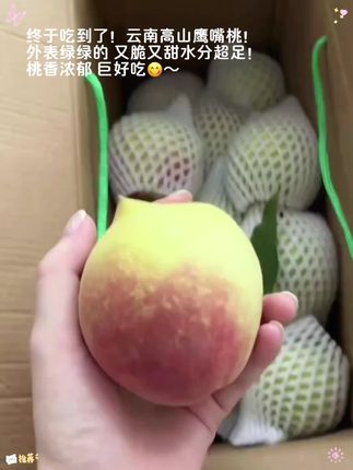 鹰嘴桃的快乐谁懂?!简直是我的梦中情桃 😭!外表绿绿的云南高山⛰️鹰嘴桃!果肉饱满多汁,果香浓郁!又脆又甜超级好吃,水分超足,脆桃党一口沦陷😭!好吃到停不下来!#鹰嘴桃 #桃子超甜 #脆桃党 #新鲜采摘 #在抖音入手的好东西
