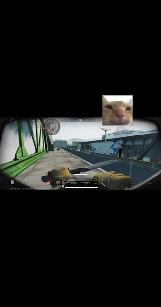 哈基蜂可爱捏#三角洲行动 #哈基蜂