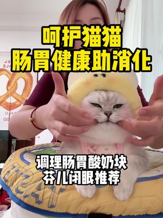 #猫粮推荐 #猫粮测评 #猫粮推荐性价比高排行榜 #养猫新手