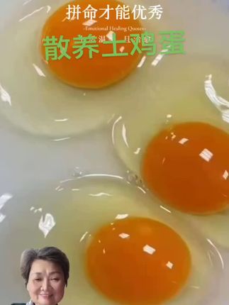 散养土鸡蛋,自然喂养,健康营养,蛋黄饱满,色泽金黄,味美鲜香,是追求高品质生活的理想选择。