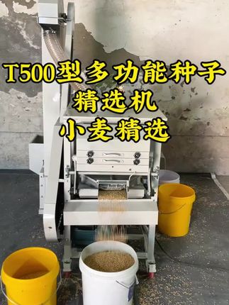 T500型多功能种子精选机,小麦精选#粮食机械 #一机多用省时省力省人工 #强烈推荐 #精选机 #小麦种子