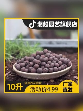 10升养花陶粒球花盆垫底园艺陶土颗粒水培无土栽培多肉种植铺面石#陶粒 #养花陶粒 #陶土 #铺面石 #好物推荐