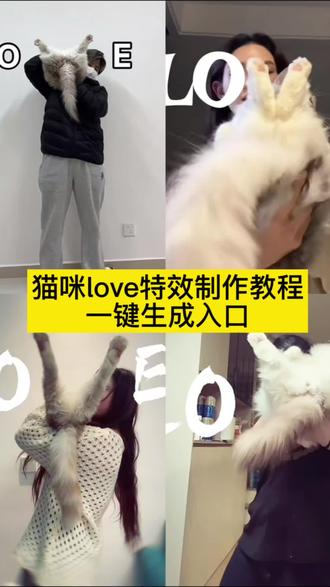猫咪 love特效
猫 love特效教程
猫咪 love ai特效教程
猫咪 loveyou特效
猫咪特效 love 教程
猫咪 love特效教程豆包
猫咪 aiLove特效教程
猫咪嘴巴 love 特效
猫咪 love特效怎么拍
猫咪 love
猫咪 love 特效
猫咪 love拍照
猫咪 love 视频怎么拍
猫咪 love怎么p
猫咪love
猫咪 love照片
猫咪 love 豆包口令
猫咪 love 拍同款
#love特效制作教程 #love特效拍同款 #猫咪love特效#即梦ai