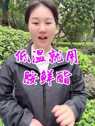 胺鲜酯什么时候使用效果好? 胺鲜酯怎么使用?#胺鲜酯 #胺鲜酯水剂 #调节剂 #农业 #果树种植