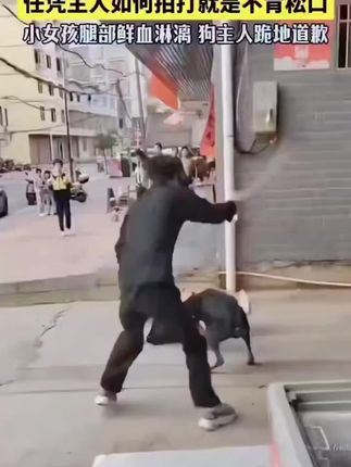 #危险动作请勿模仿 #这是高手 #不可思议 应急防身棍