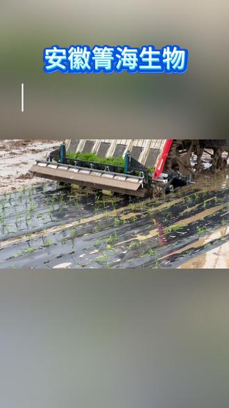 守护一方沃土 耕耘四季丰收 聚乳酸生物降解地膜 科学保护土地、提升土壤有机质