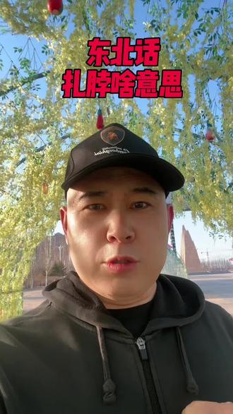 东北话你是几级?东北有个词叫扎脖,知道啥意思吗?#原创视频 #东北话 #东北方言 #东北人自带幽默感 #涨知识