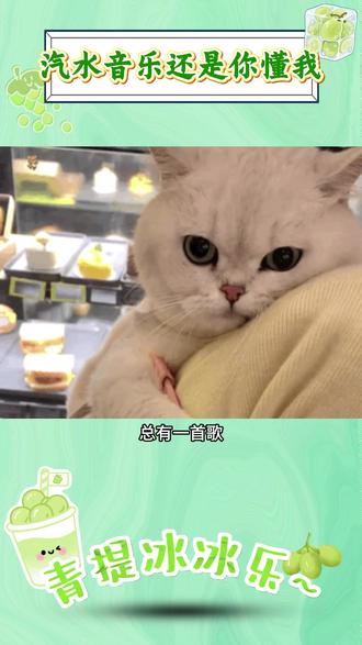汽水音乐还是你懂我#汽水音乐