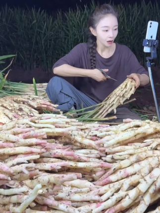自贡五宝竹根姜,又香又嫩又脆,带泥发货,大家可以放心吃#姜#仔姜#嫩姜