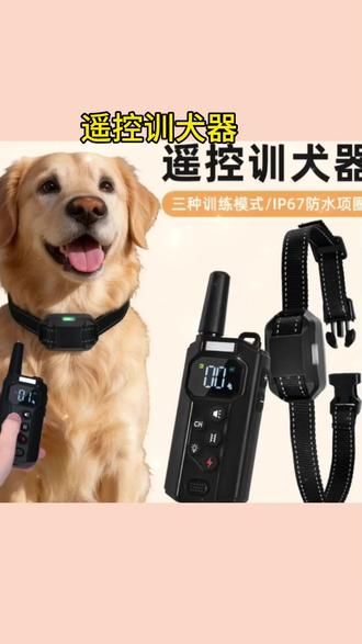 #训狗止吠器 智能遥控训狗器防狗叫电击项圈震动训练止吠器宠物项圈训犬#遥控训犬项圈 #防狗叫神器 #宠物训练用品 #狗狗行为矫正
