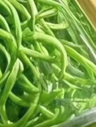 #长白山黄金草 #正宗长白山特产  #新茶上市 #黄金草 这可是长白山特产的黄金草也叫嗷嗷叫喝过的人啊都知道有多妙