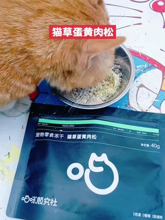 猫咪颜究社出品,猫草蛋黄肉松,排毛不刺激肠胃营养丰富美味解馋 #易博米修的日常#排毛#排毛球#新手养猫#养猫经验分享