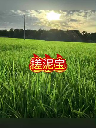 搓泥宝#搓泥宝 #搓澡 #搓澡神器 #搓泥神器推荐 #搓泥