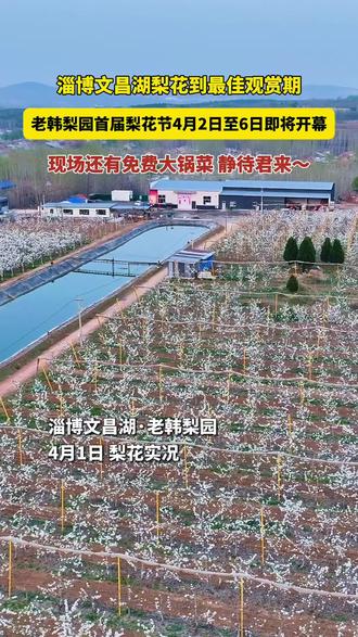 老韩梨园首届梨花节4月2日至6日即将开幕!现场还有免费大锅菜,静待君来~#老韩梨园 #dou上热门 #华鲁淄
