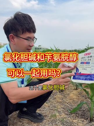 膨大剂苄氨烷醇,千万别单独使用,如何搭配效果翻倍? 用对时间把握用法用量#苄氨烷醇 #玉米种植 #水稻种植 #农业种植 #三农