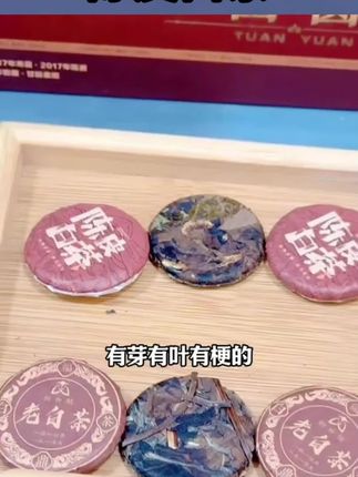 拍1发4条配2个礼袋老白茶·陈皮白茶福鼎小圆饼干茶伴手礼#白茶 #白茶推荐 #陈皮白茶 #陈皮白茶小方片 #福鼎白茶