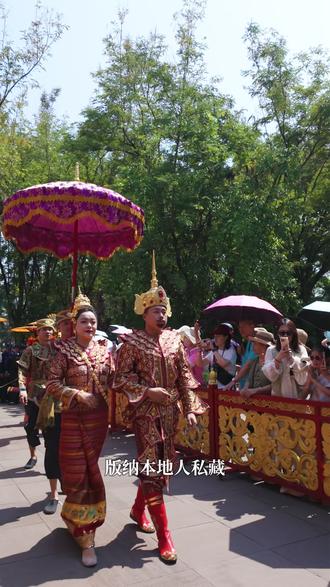 傣泰宫廷既视感 曼听公园傣王招亲,来就有机会当驸马,来曼听千万别错过!@曼听御花园 #是谁打翻了大自然调色盘 #傣王招亲 #西双版纳旅游攻略 #曼听公园攻略 #曼听公园傣王的御花园