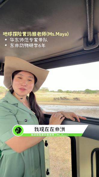 怀孕22个月的大象妈妈居然每天走这么远⁉ #地球探险营 #非洲研学 #动物科普 #大象 #非洲旅游