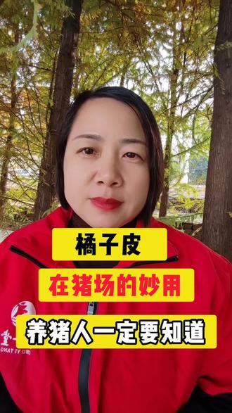 橘子皮在猪场竟有这妙用 #养猪 #养猪人加油干