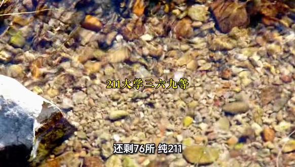 211大学也分三六九等?5个档次真实含金量,湖北考生对照分数 #湖北高考 @DOU+小助手