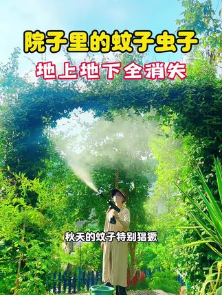 秋天的蚊子特别猖獗,家里有院子花园的赶紧喷上这个#高效氯氟氰菊酯 #虫害防治 #防蚊虫 #灭蚊虫小妙招