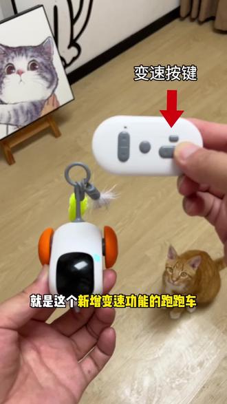 猫咪可变速的小汽车 原本是猫咪玩具,没想到男朋友也喜欢玩,漂移逗猫都好玩,猫咪玩到停不下来#萌宠好物 #跑跑车 #猫玩具 #逗猫神器 #养猫家庭