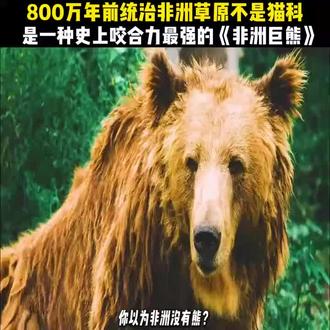 你以为非洲没有熊?史前真相颠覆认知! #科学#考古发现#知识科普#史前巨兽 #随时随地标记一下