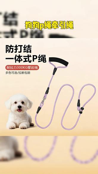 中小型犬防爆冲狗狗p绳牵引绳训犬牵引绳遛狗必备用品狗绳牵引绳