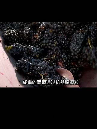 #葡萄酒 #贺兰山葡萄酒