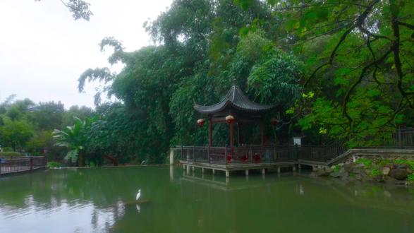 鸟和亭子构成的画#随手拍 #亭台楼阁