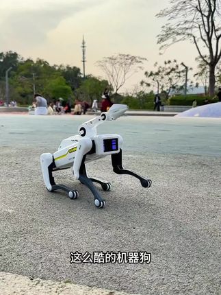 智能仿生机器狗2025新款儿童电动遥控机械玩具ai人工编程男孩礼物#好物推荐🔥 #儿童玩具狗#机器狗#机械狗#AI机器狗