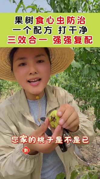 进入五月果树食心虫如何防治 果树食心虫蚜虫防治方案#食心虫 #食心虫钻心虫 #桃树食心虫 #果树蚜虫 #蚜虫防治
