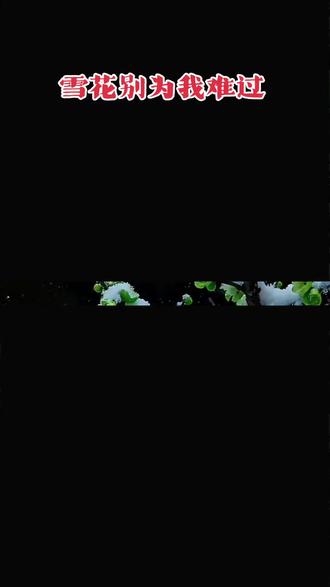 #Al生成 #好歌推荐 《雪花别为难过》