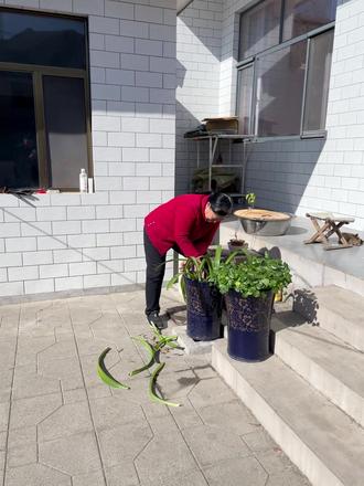 过年窗花怎么剪 #剪纸 #非遗祈福百景图 #抖音非遗联欢会 #非遗守护人