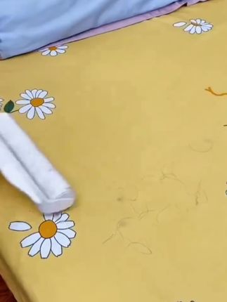家用滚筒大号除尘细毛器#吸毛器 #除尘神器