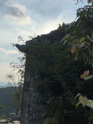 今天来了没有天黑,奶奶还是老样子,今晚住山里